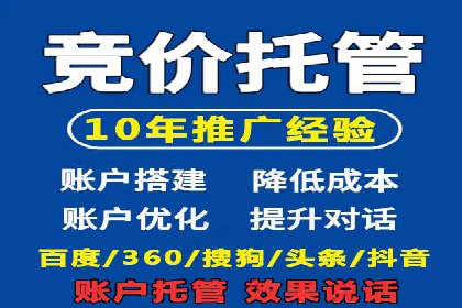 互联网公司SEM代运营成功案例剖析